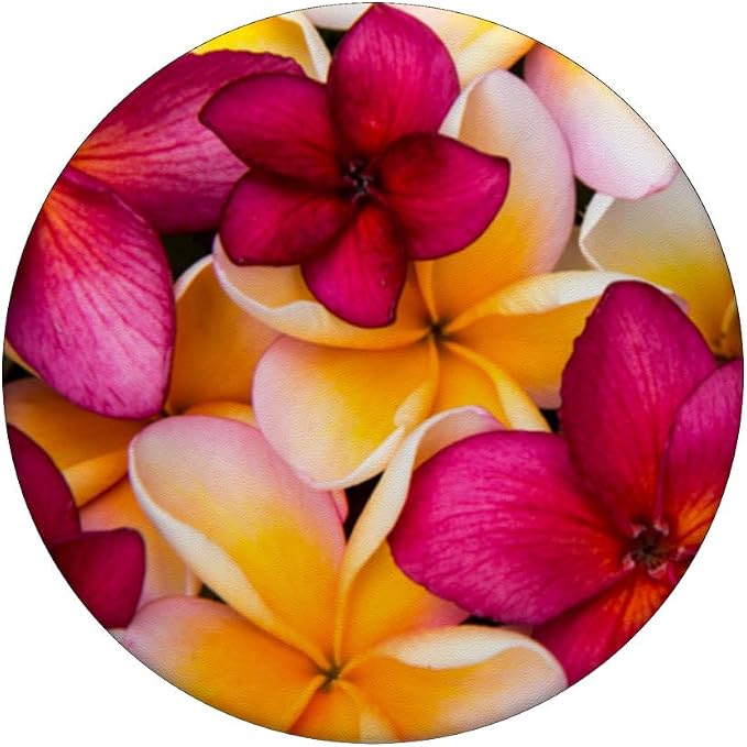 Plumeria Flower Pretty Garden Hawaii Pop Socket Phone Holder PopSockets Adhesive PopGrip
