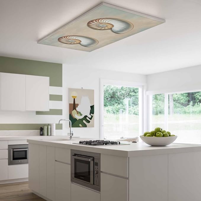 Fluorescent Light Covers for Ceiling Lights Shell Conch Magnetic Light Filters