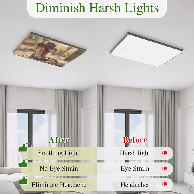4 Pack Fluorescent Light Cover, Cowboy Western Light Covers