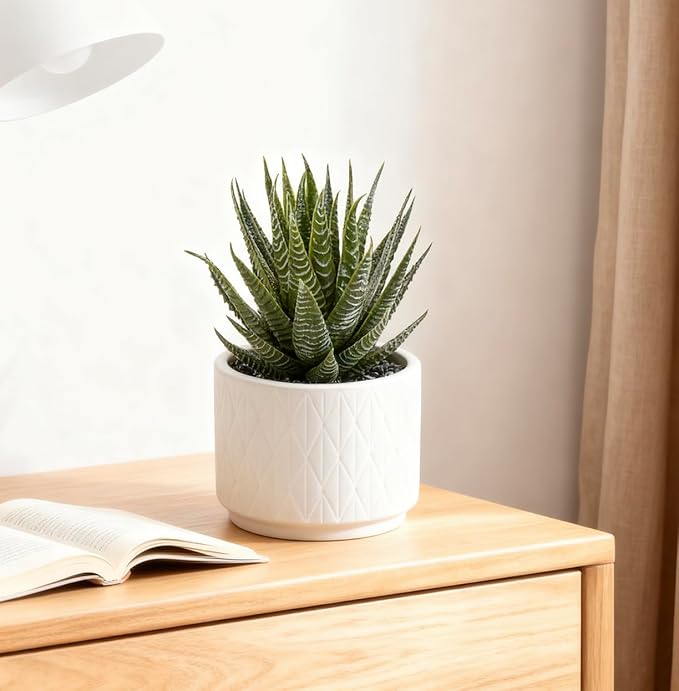 Artificial Succulent Plant in Matte White Ceramic Pot | 6.5" high Dark Green Aloe Plant | Great as desk decor or bathroom decor | beautiful realistic faux succulent with no maintenance