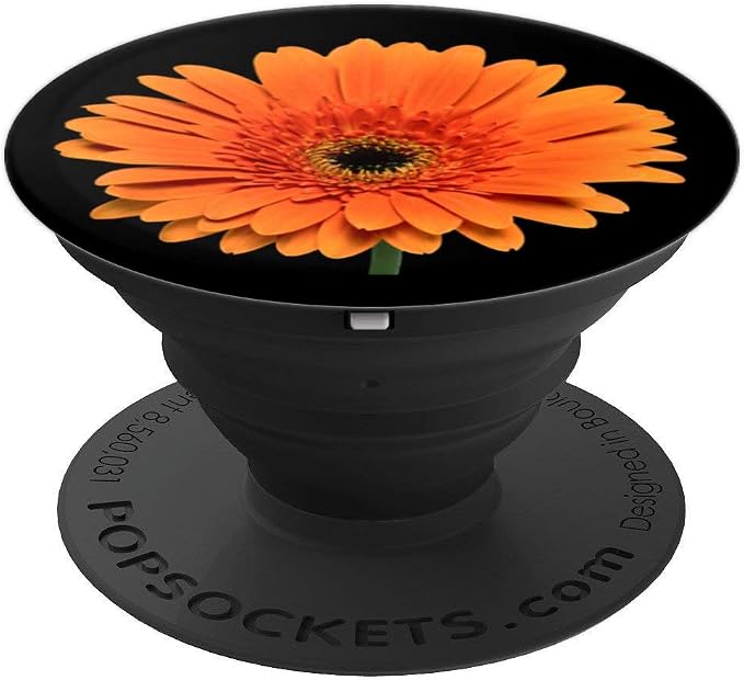Orange Gerbera Daisy Flower Black Background PopSockets Adhesive PopGrip