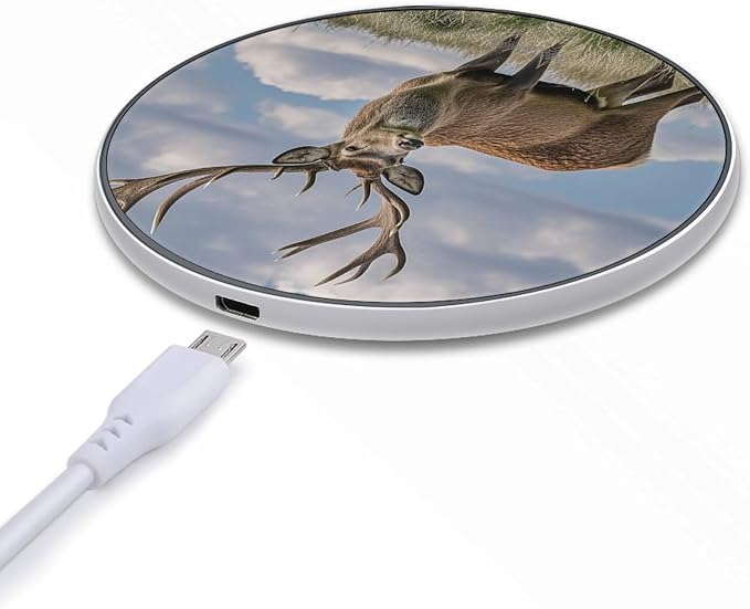 Elk Wireless Charger Fast Charging Pad | Anti-Slip Qi Certified Wireless Charging Pad for All Phones with Wireless Charging Function for Home Office Travel