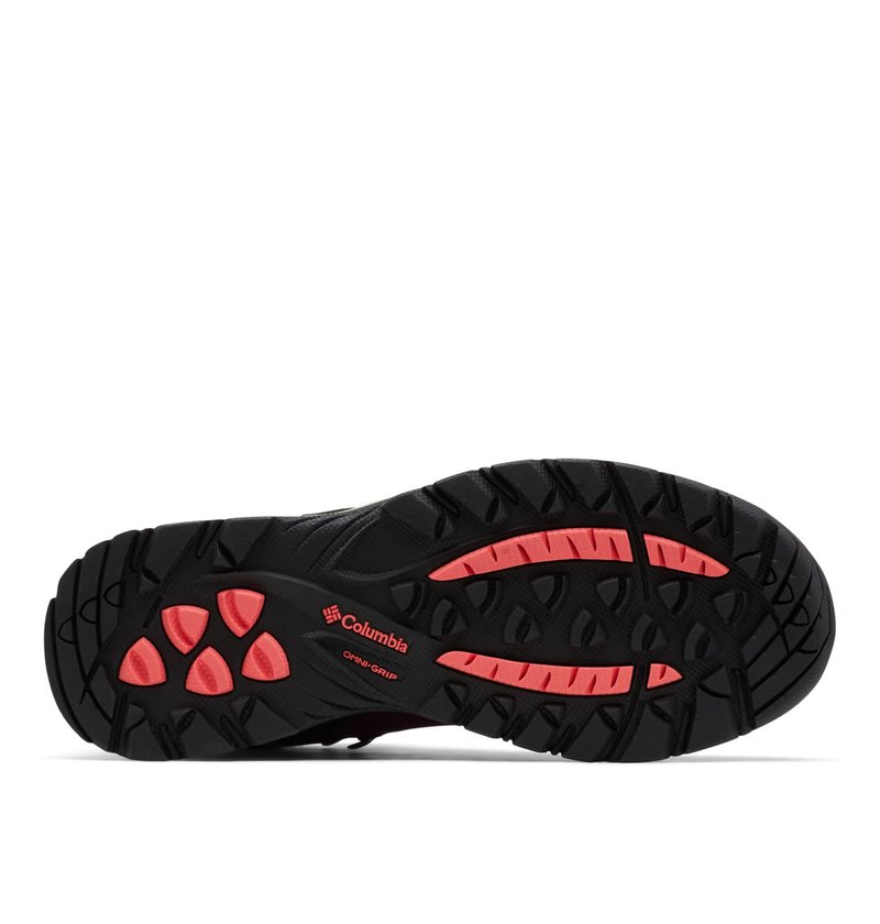 Columbia Women's Newton Ridge Plus, Marionberry/Black, 8.5