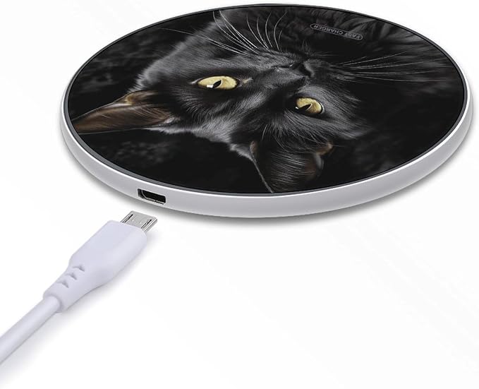 A Black Cat on A Black Background Wireless Charger Aluminum Alloy Frame 10W Fast Charging Pad with Indicator Light 6mm Thin &amp Portable Wireless Charging Pad for Travel Home Office Desk