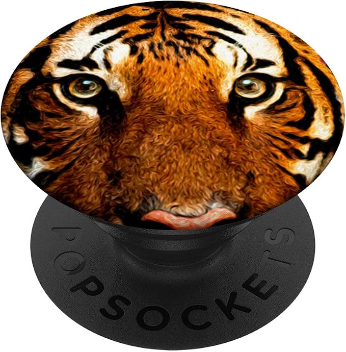 Tiger Eyes and Face - Tiger