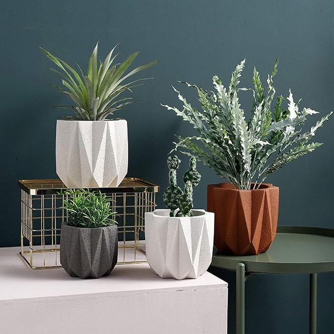 Outdoor Succulent Plantpot Cactus Plant Container Cement Flowerpot Container