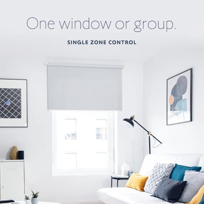 Somfy Situo 1800128 RTS The New Telis 1 Remote Control - Replacing 1810633 Home Automation Blinds and Shades System Kits