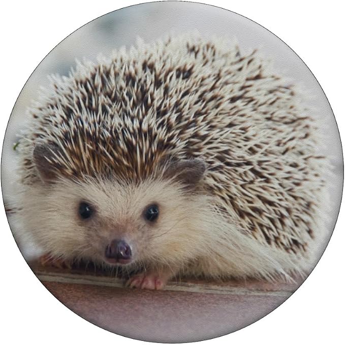 Hedgehog PopSockets Adhesive PopGrip