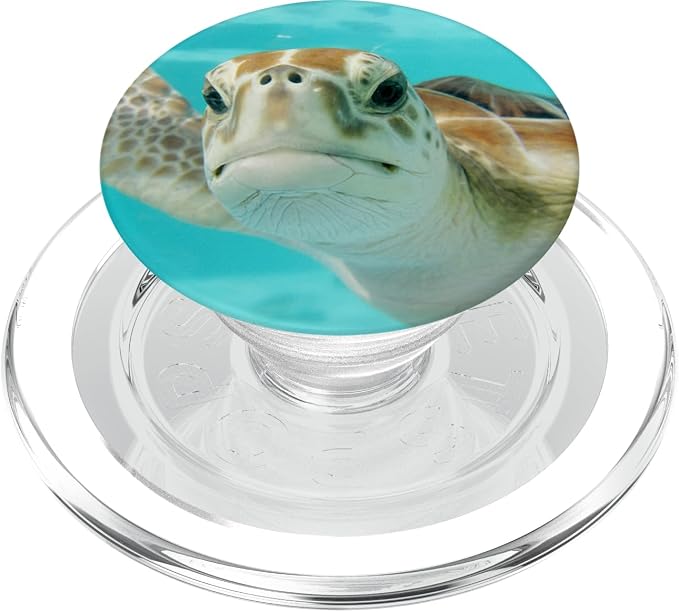 Pop out Cell Phones holder underwater Ocean Sea Turtles PopSockets Adhesive PopGrip