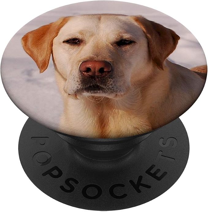 Yellow Labrador Retriever Pet Lab Dog PopSockets Grip and Stand for Phones and Tablets