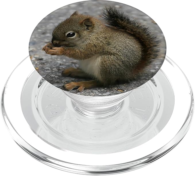 Cute Baby Squirrel Pop Mount Socket PopSockets Adhesive PopGrip
