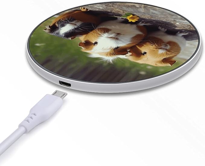 Guinea Pigs Funny Wireless Charger Fast Charging Pad | Anti-Slip Qi Certified Wireless Charging Pad for All Phones with Wireless Charging Function for Home Office Travel