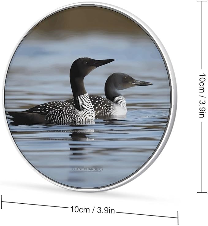 Loon Birds Wireless Charger Portable 10W Fast Wireless Charging Pad Compatible with Phone Ultra-Thin Charging Station Lightweight Charger Mat for Travel Home Office Desk