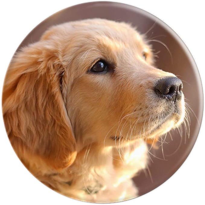 Nikitea Golden Retriever Puppy PopSocket Adhesive PopGrip - Cell Phone Grip Stand - Black - Animal Print - Compatible with Most Phones Tablets and Cases
