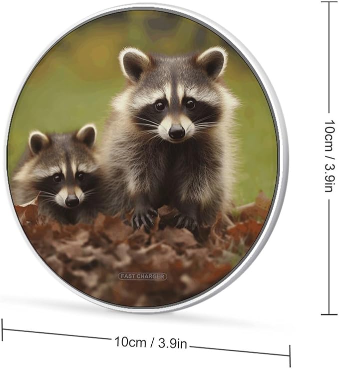 Raccoon Wireless Charger Fast Charging Pad | Anti-Slip Qi Certified Wireless Charging Pad for All Phones with Wireless Charging Function for Home Office Travel