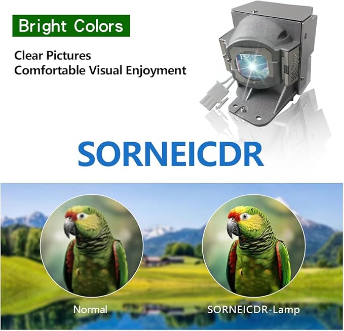 SORNEICDR RLC-079 Replacement Projector Lamp Bulb Compatible with Viewsonic PJD7820HD PJD7822HDL Projector Lamp Bulb with Housing