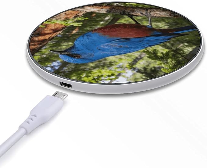 Deep Forest Blue Flame Wireless Charger Portable 10W Fast Wireless Charging Pad Compatible with Phone Ultra-Thin Charging Station Lightweight Charger Mat for Travel Home Office Desk