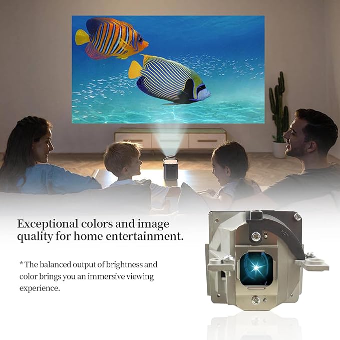 SORNEICDR SP LAMP-025 Replacement Projector Lamp Bulb Compatible with INFOCUS IN72 IN74 IN74EX IN76 IN78 Projectors, with Housing