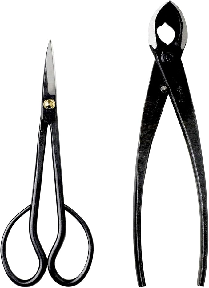 Wazakura Japanese Bonsai Tool Kit Made in Japan - Satsuki Scissors 7inch(180mm) + Concave Branch Cutter 8inch(200mm) Gift Box Set