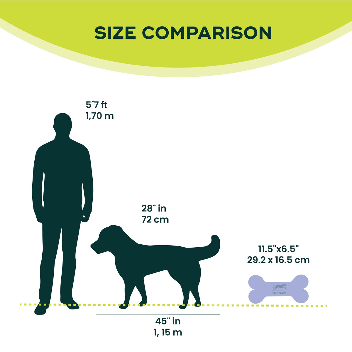 FitPaws® Mini K9FITbone® Dog Balance and Exercise Equipment, Mango, 2-Pack