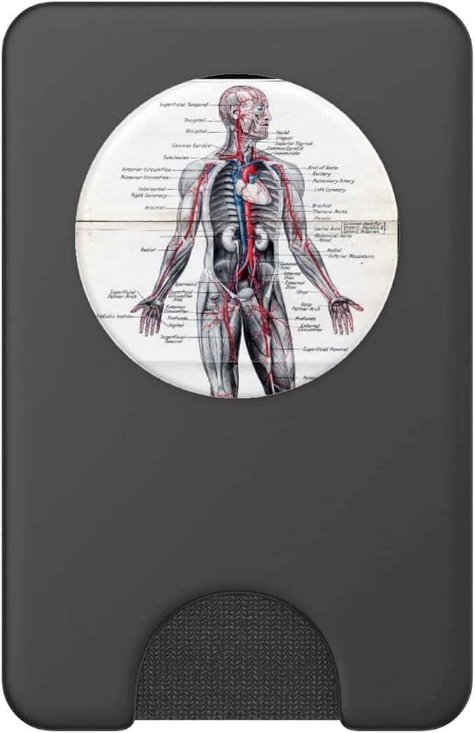 Medical Nursing Student Anatomy Chart PopSockets PopGrip: Swappable Grip for Phones &amp Tablets PopSockets Adhesive PopGrip