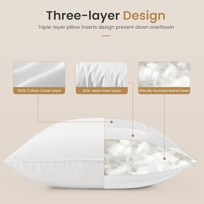 BHZ Euro Throw Pillow Inserts, 16x16 Down Feather Alternative Pillow Inserts Set of 2, Decorative Soft Large Square White Throw Pillows Insert for Couch Bed Dorm Sofa with Cotton Cover