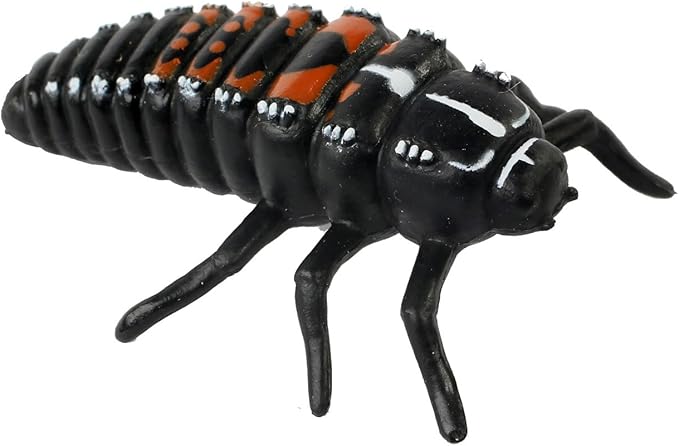 Insect Lore Ladybug Life Cycle - 4 PC Insect Figure Shows Life Of Lady Bug