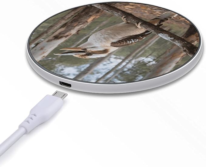 Gray Bird Wireless Charger with USB CableAluminum Alloy Frame 10W Max Compatible Fast Wireless Charging Pad- 3.2ft Cable Included for Travel Home Office Desk
