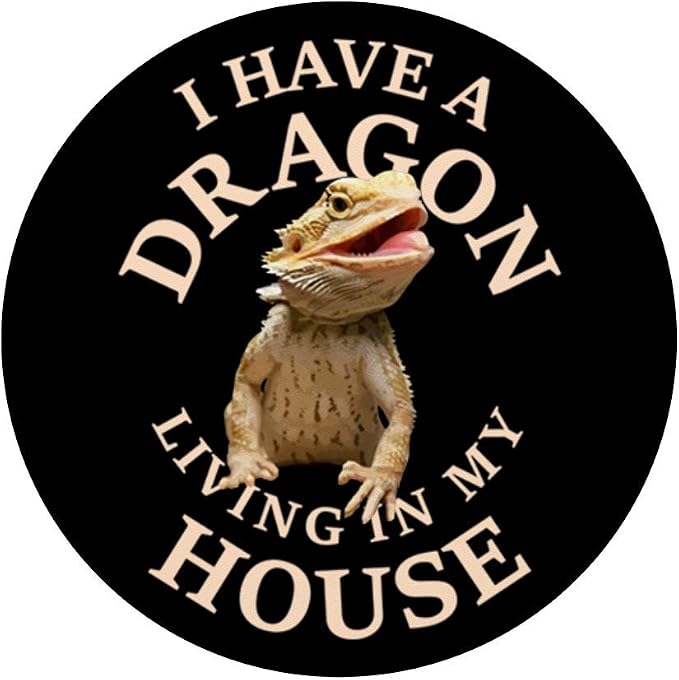 Bearded Dragon Dragon Pogona Barbata Lizard on Black PopSockets Swappable PopGrip