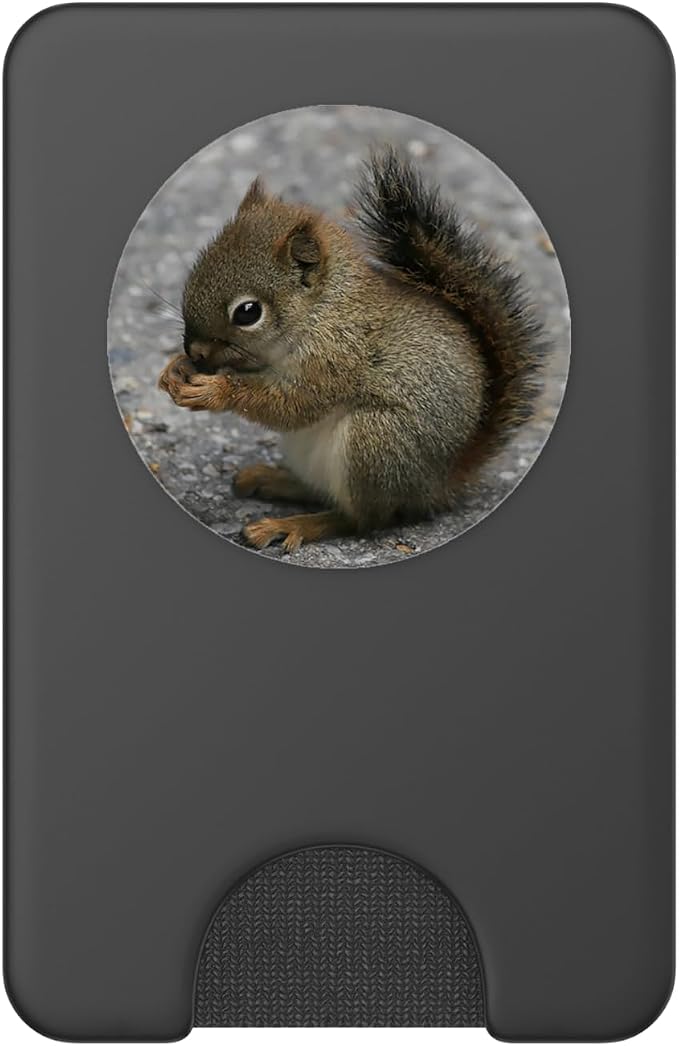 Cute Baby Squirrel Pop Mount Socket PopSockets Adhesive PopGrip