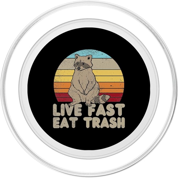 Fast Live Eat Trash Raccoon Sunset Retro Street Cat Gift PopSockets Standard PopGrip