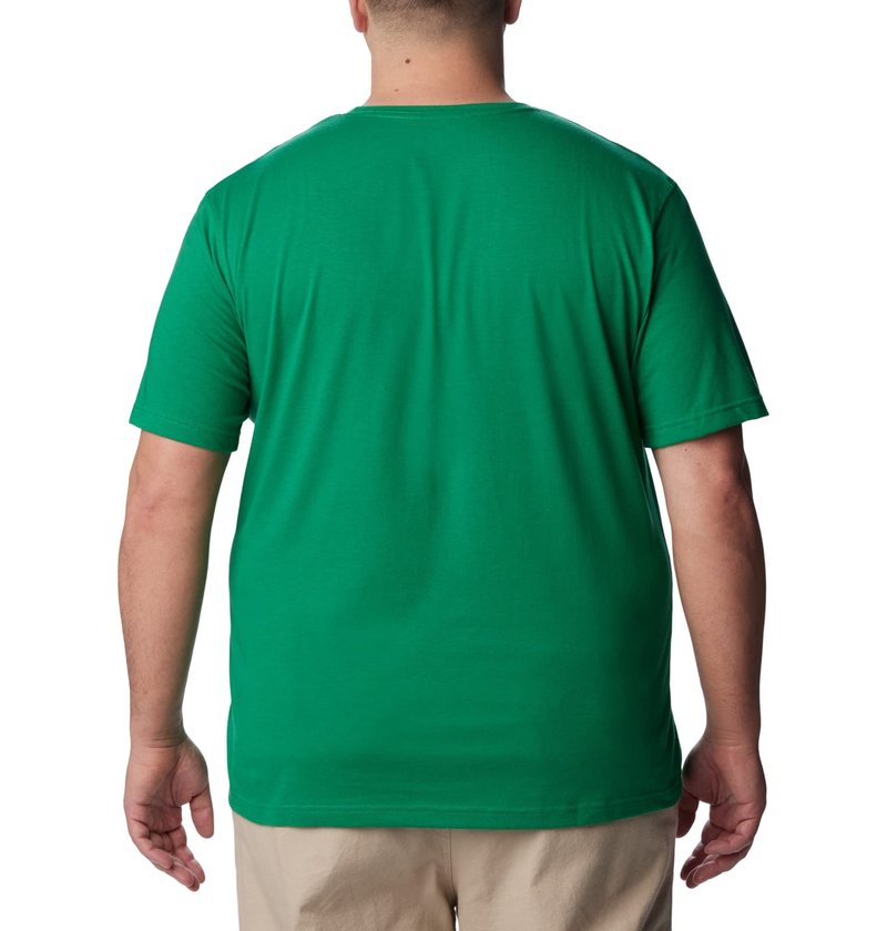 Columbia Men's Thistletown Hills Short Sleeve, Bamboo Forest, 4X Big
