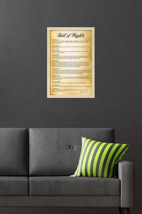 Trends International The United States of America - Bill of Rights Wall Poster, 22.4L x 14.7W, Blonde Framed Version