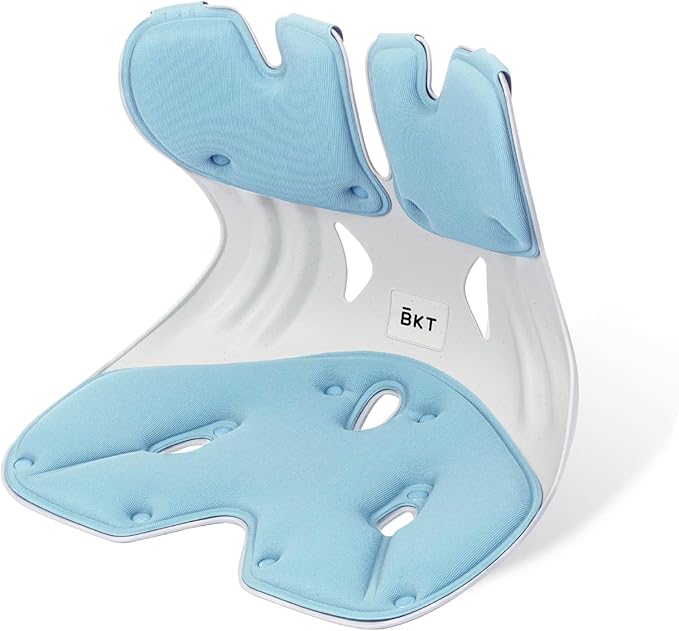BKT Seat Cushion Chair Ergonomic Office Chair Cushions Lumbar Support for Seat Pillow Ideal for Students Office Workers Nursing Mothers Long Sitting Outdoor Fishing Floor