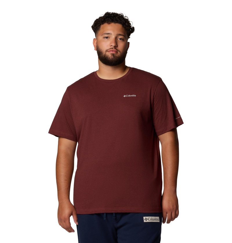 Columbia Men's Thistletown Hills Short Sleeve T-Shirt, Spice Heather, 2X Tall