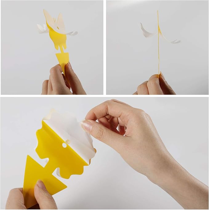 48PCS Fruit Fly Sticky Traps, Fungus Gnat Traps Insect Trap for Plants Kitchen Indoor and Outdoor（48 Lemon Yellow ）