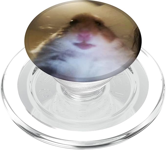Staring Hamster PopSockets PopGrip: Swappable Grip for Phones &amp Tablets PopSockets Adhesive PopGrip