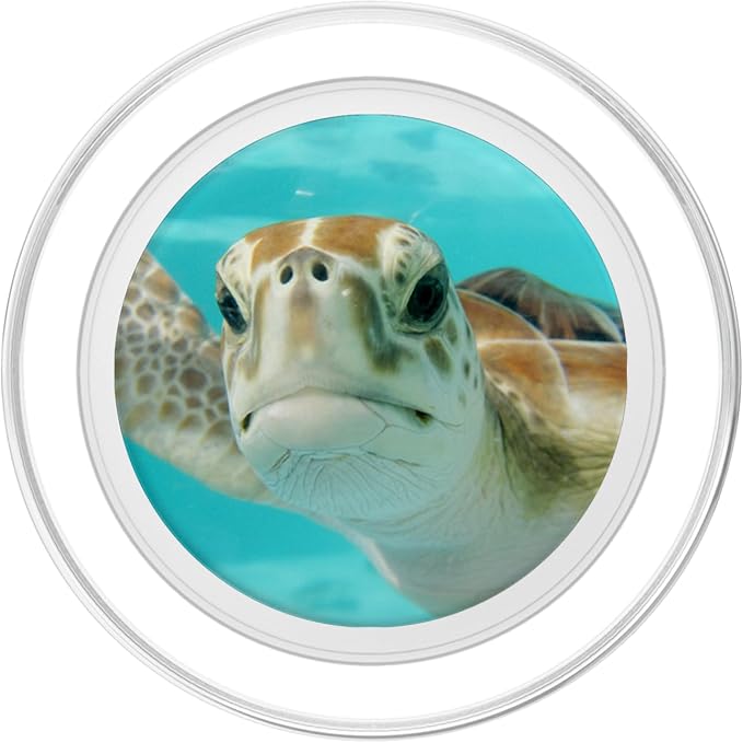 Pop out Cell Phones holder underwater Ocean Sea Turtles PopSockets Adhesive PopGrip