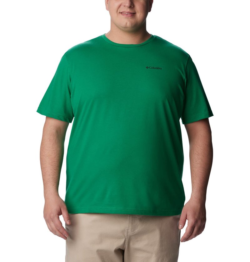 Columbia Men's Thistletown Hills Short Sleeve, Bamboo Forest, 4X Big