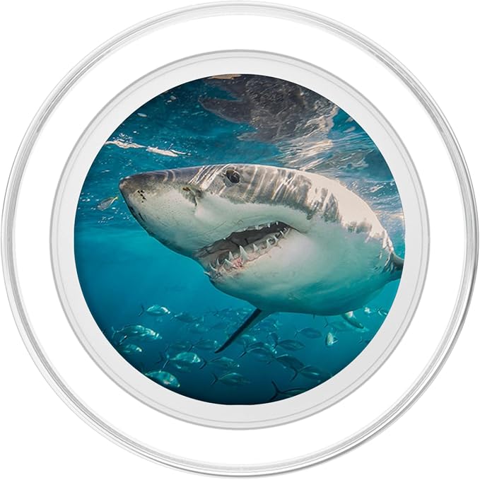 Great White Shark in Blue Sea Ocean PopSockets Standard PopGrip