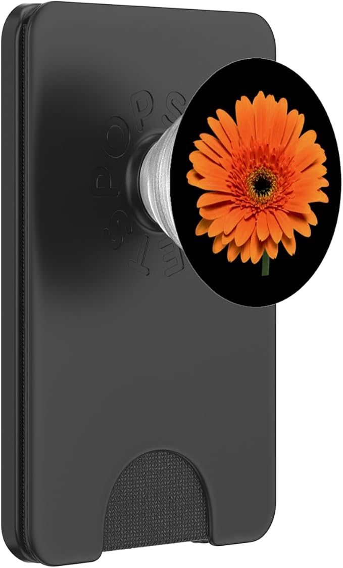 Orange Gerbera Daisy Flower Black Background PopSockets Adhesive PopGrip