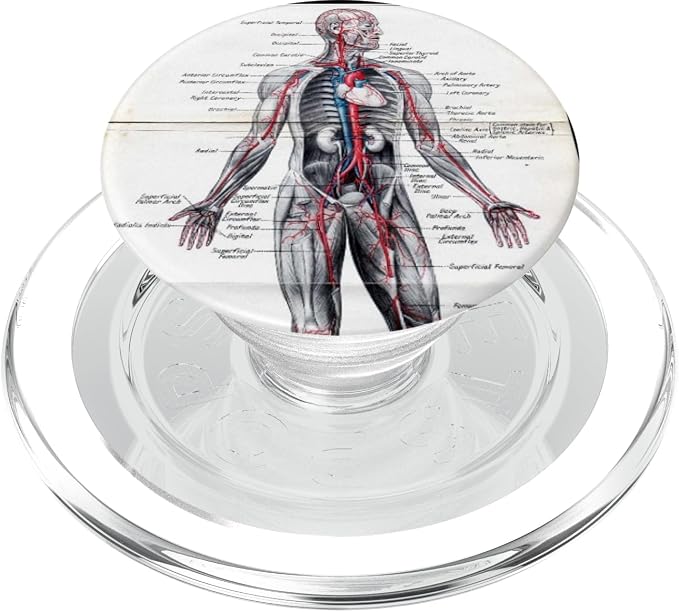 Medical Nursing Student Anatomy Chart PopSockets PopGrip: Swappable Grip for Phones &amp Tablets PopSockets Adhesive PopGrip