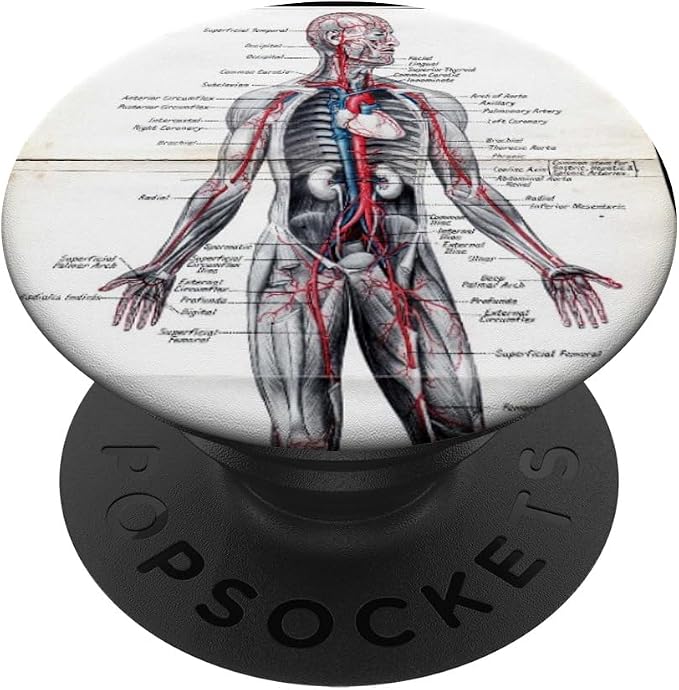 Medical Nursing Student Anatomy Chart PopSockets PopGrip: Swappable Grip for Phones &amp Tablets PopSockets Adhesive PopGrip