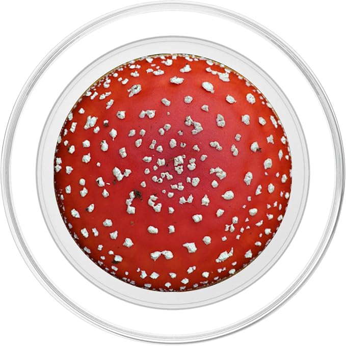 Mushroom Red Fly Agaric Amanita Nature Fungus Forest Design PopSockets Adhesive PopGrip