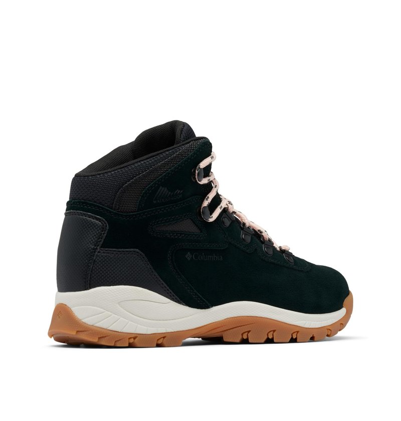 Columbia Womens Newton Ridge Plus Waterproof Amped, Black/Blush Rose, 9 Wide