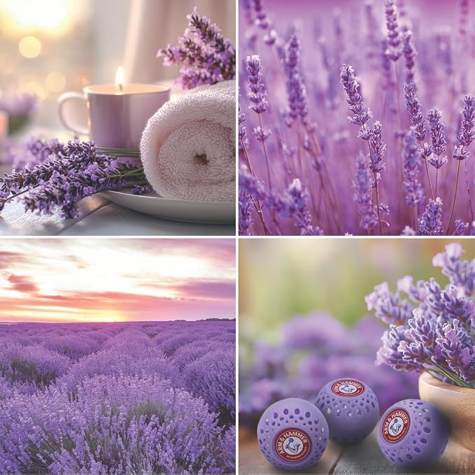 Arm & Hammer Odor Busterz Lavender Deodorizing Balls
