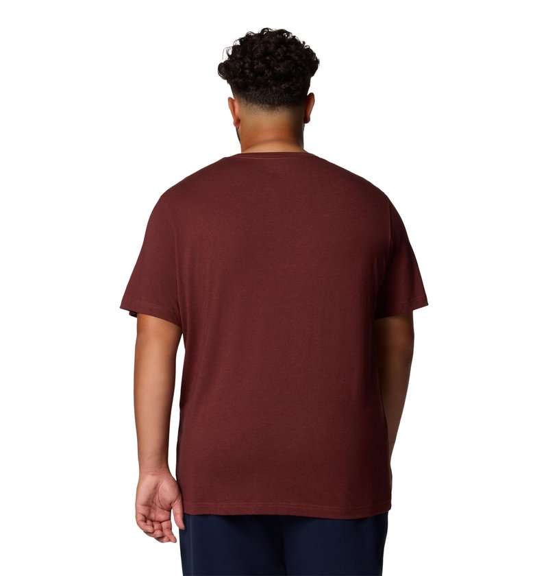 Columbia Men's Thistletown Hills Short Sleeve T-Shirt, Spice Heather, X-Large