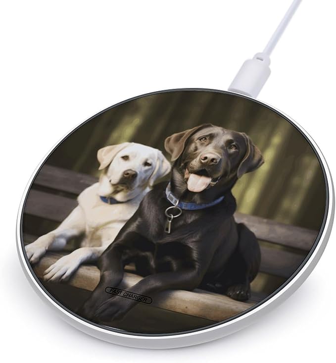 Labrador Wireless Charger with Aluminum Alloy Frame Qi Certified Fast Wireless Charging Pad 10W Charging Station Portable Phone Charger for All Wireless Charging Phone