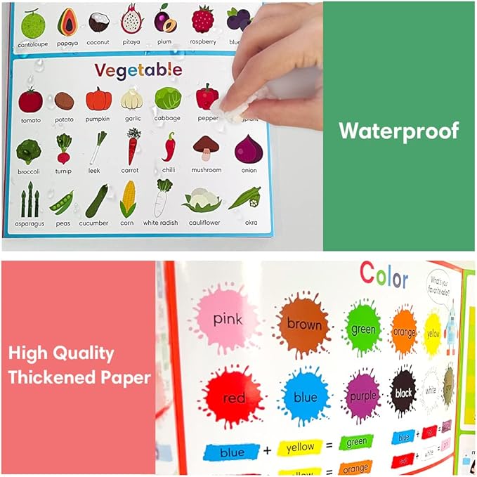 Lachilly My First Learning Chart and My First Phonics Chart Set Words Learning Sheet Educational Poster Vocabulary Building Flashcards Worksheet Teacher Teaching Aids for Pre-Kindergarten