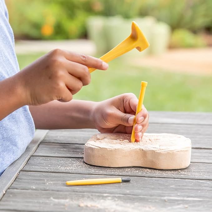 Educational Insights GeoSafari Fossil Excavation Kit, Kids Science Kit, Dinosaur Science Toy, Ages 7+